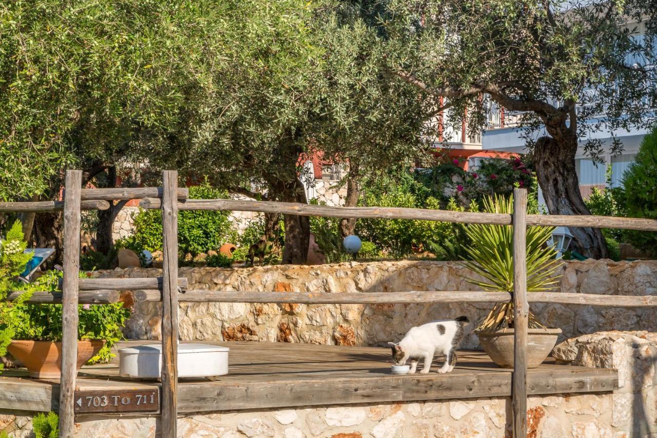 Oasis Hotel (Adults Only) Kalkan Eksteriør bilde
